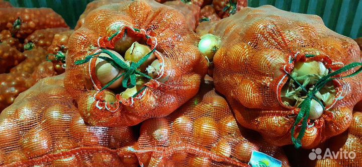 Лук репчатый, Оптом и в розницу