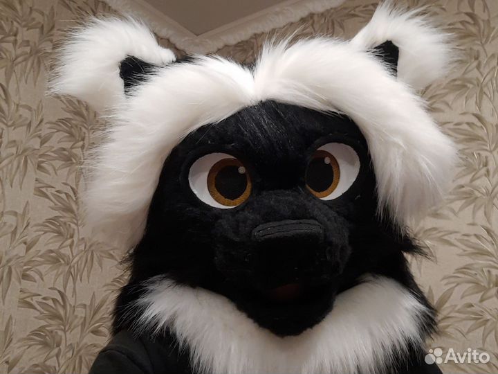 Фурсьют основа кота