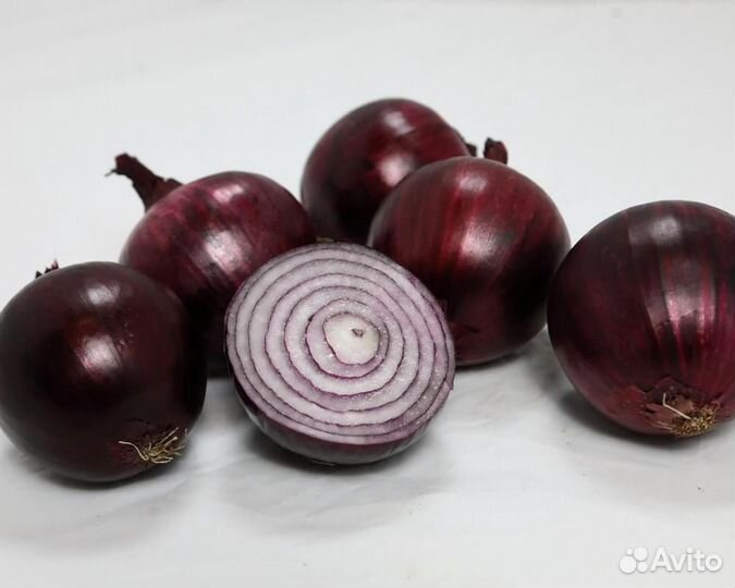 Семена Лука 