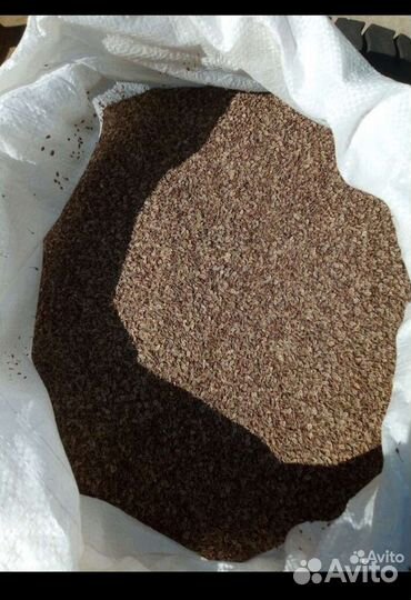 Семена огурцов тамата укропа