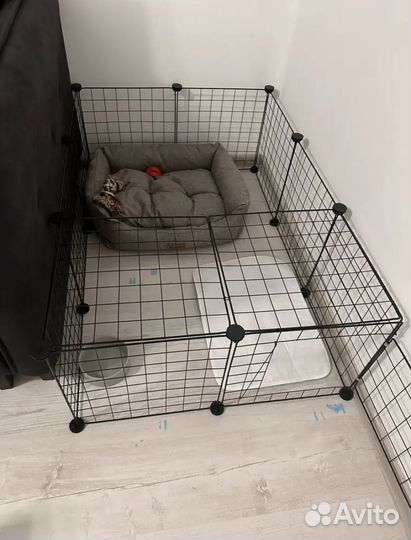 Вольер прокат/продажа