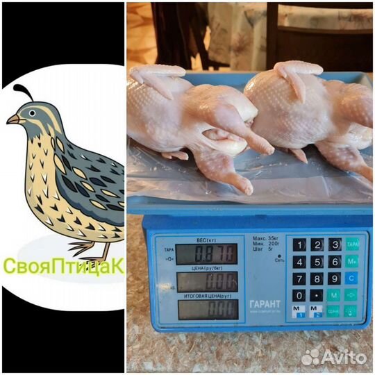 Мясо перепела