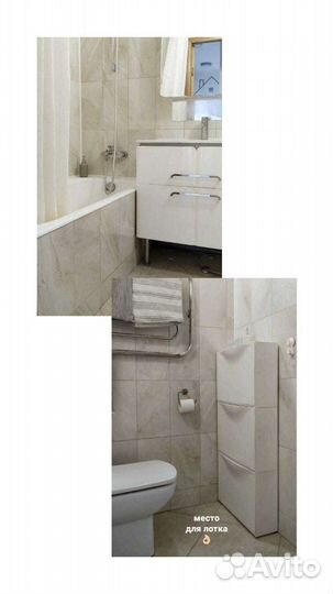 Передержка животных