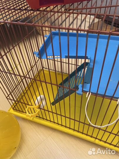 Клетка с принадлежностями для хомяка