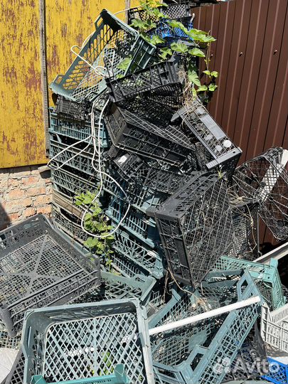 Пластиковые ящики бу