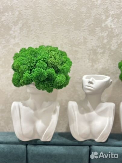 Декор для интерьера со стабилизированным мхом