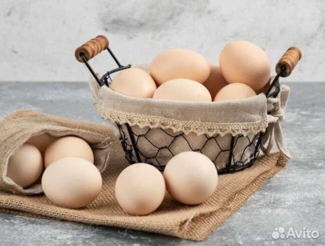 Продаю домашние яйца