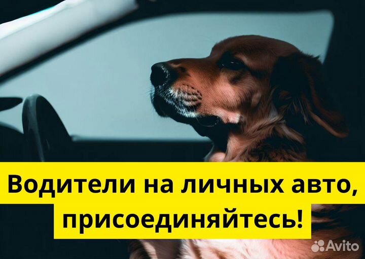 Яндекс Go: работай на своем автомобиле
