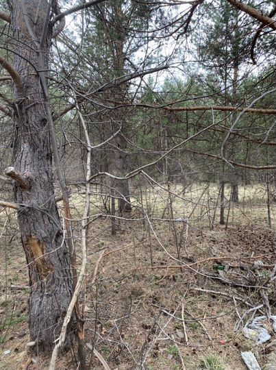 Участок 19 сот. (ИЖС)