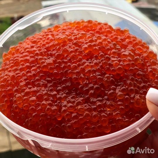 Красная икра Кижуч