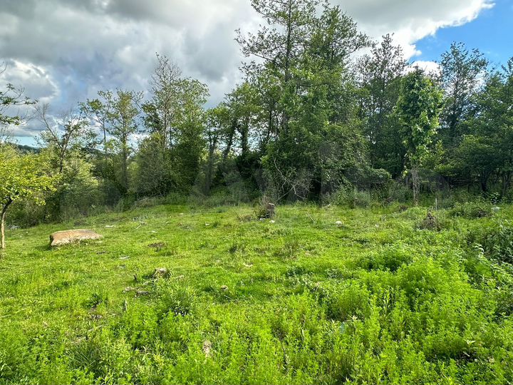 Участок 6 сот. (СНТ, ДНП)