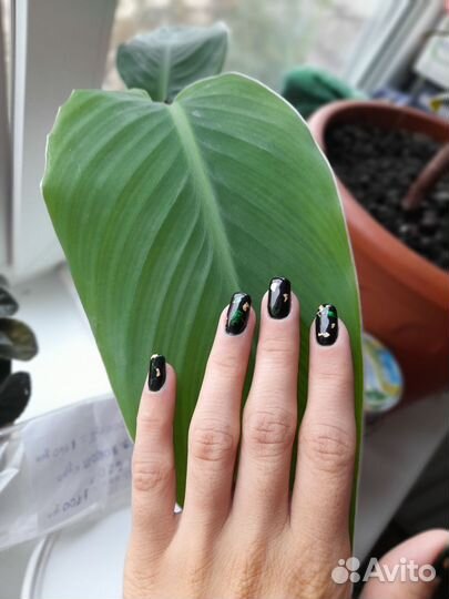 Маникюр на дому, покрытие гель лаком