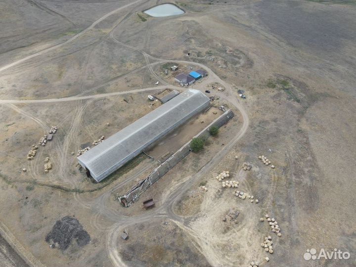 Животноводческая ферма