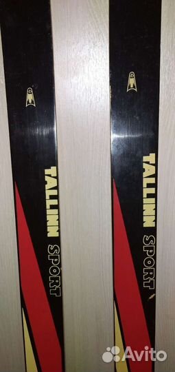 Беговые лыжи