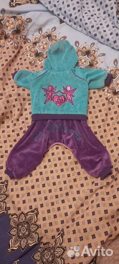 Одежда для маленьких собак бу