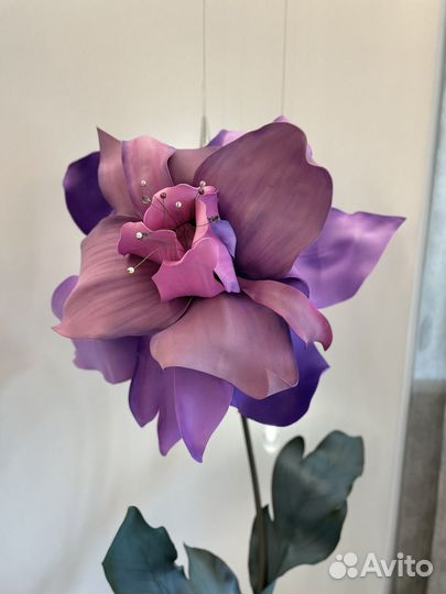 Ростовые цветы