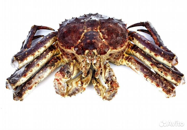 Краб камчатский целый