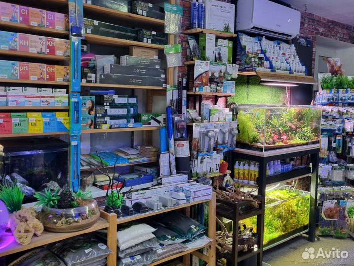 Аквариумные рыбки более 100 видов