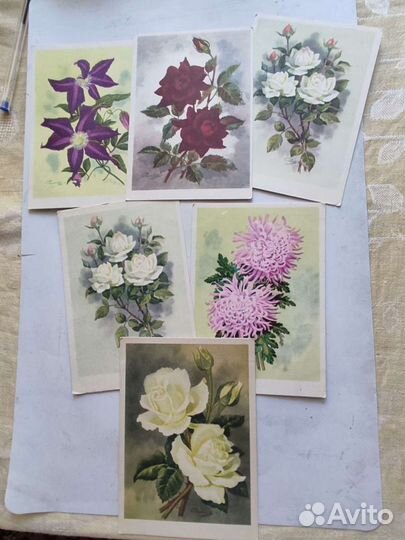 Открытки, Времён СССР, 1964, худ. И. Романов