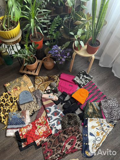 Шарфы и палантины