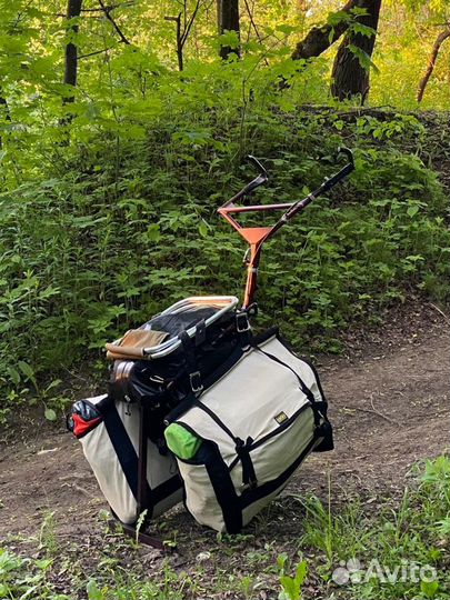 Пиконь выживальщика