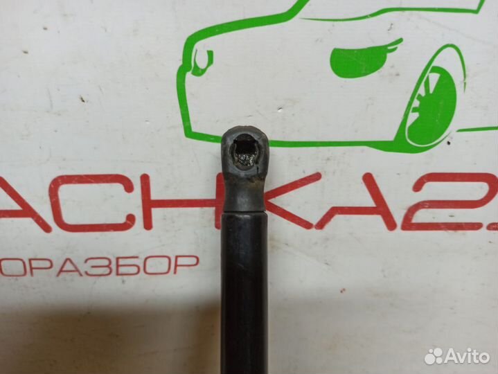 Амортизатор капота VW Tiguan 2 (2016+)