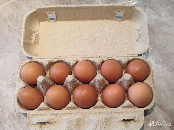 Деревенские куриные яйца