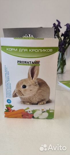 Корм для кролика