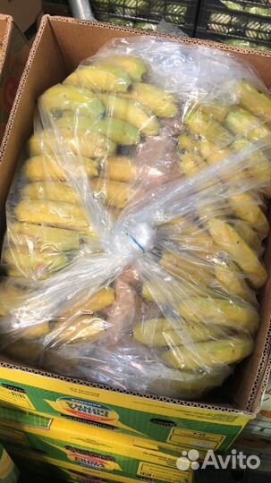 Овощи и Фрукты