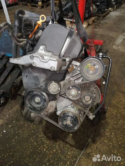 Двигатель Фольксваген Гольф 4 / Бора 1,4 б APE