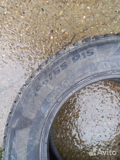 Formula Ice 195/65 R15