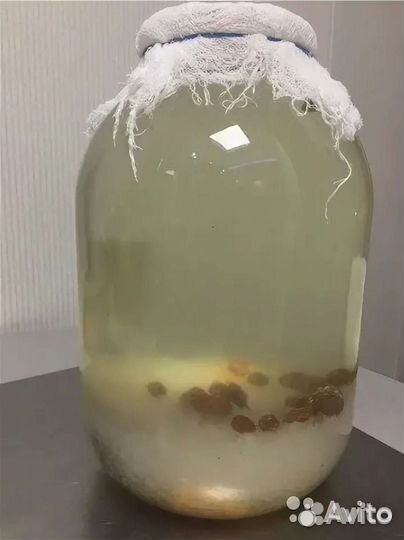 Индийский морской рис