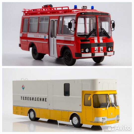 Автобусы Модимио