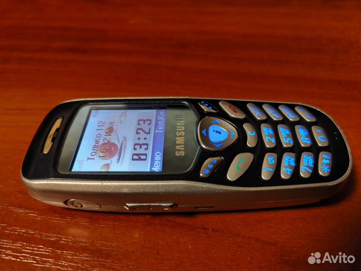 Samsung SGH-X100
