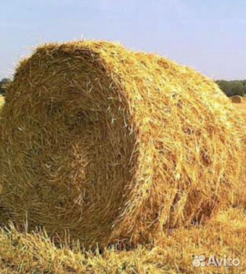 Сено в тюках