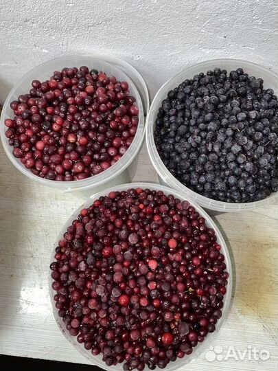 Клюква брусника черника шиповник