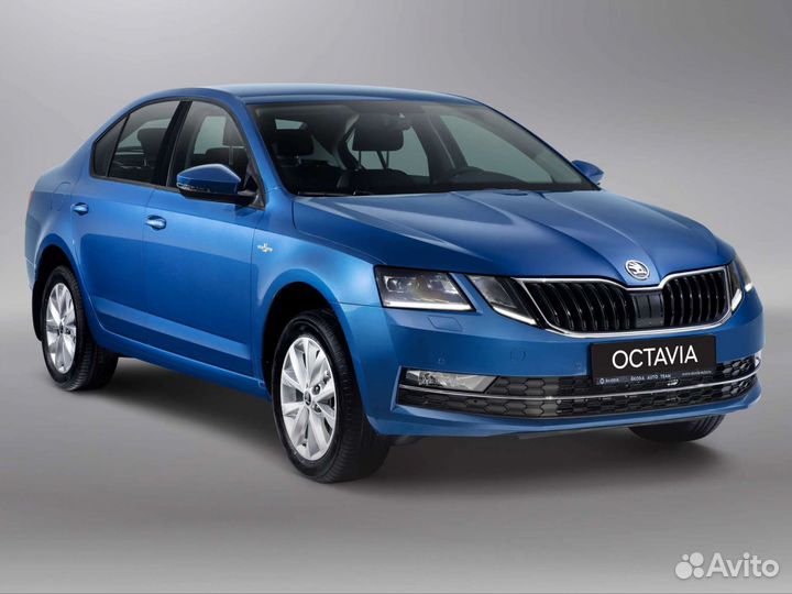 Трансфер Крым,Адлер Сочи,Ставрополь, Минводы