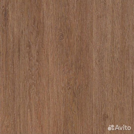 Holiday 832 Дуб Диско 32 класс