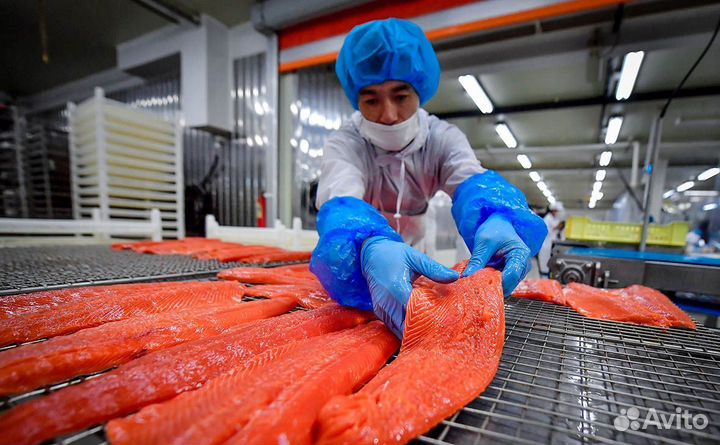 Сортировщик морепродуктов вахта