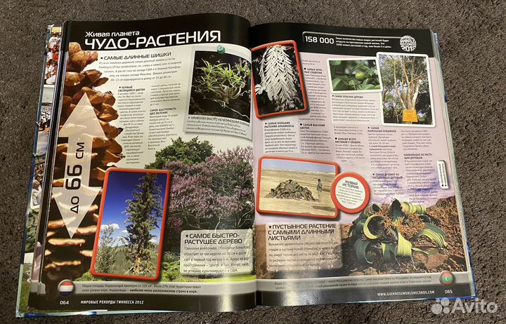 Книга рекордов Гиннесса 2012 год