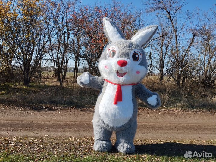 Аниматоры на день рождения детям