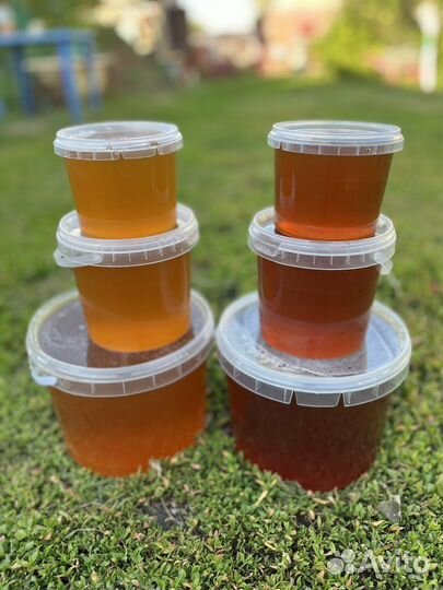 Башкирский мед, прополис и перга, Птx