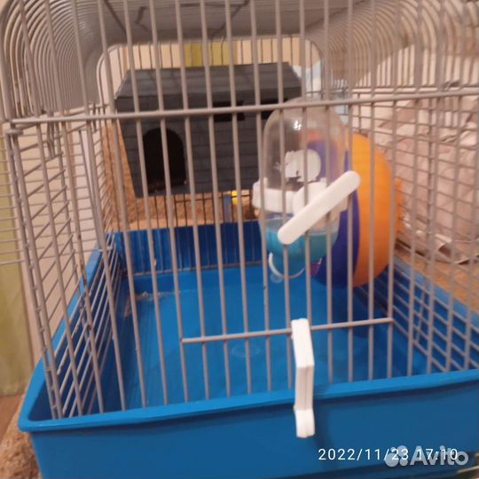 Клетка для сирийского хомяка