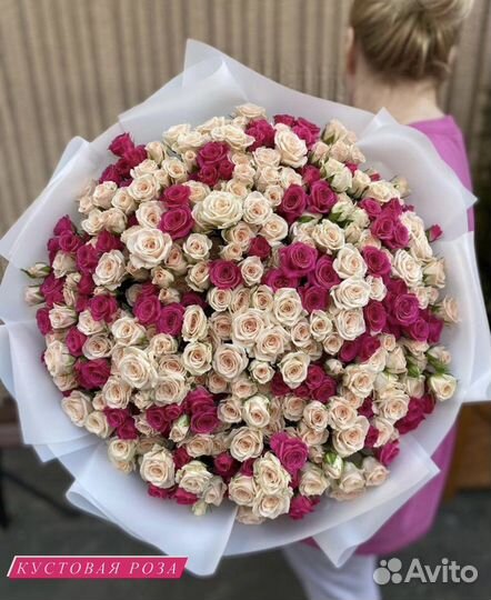 51 кустовая роза