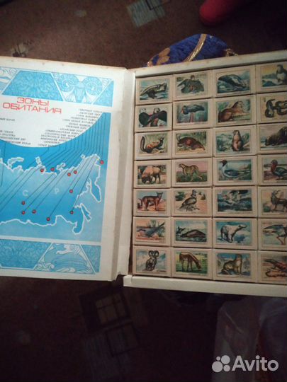 Коллеционная этикетка