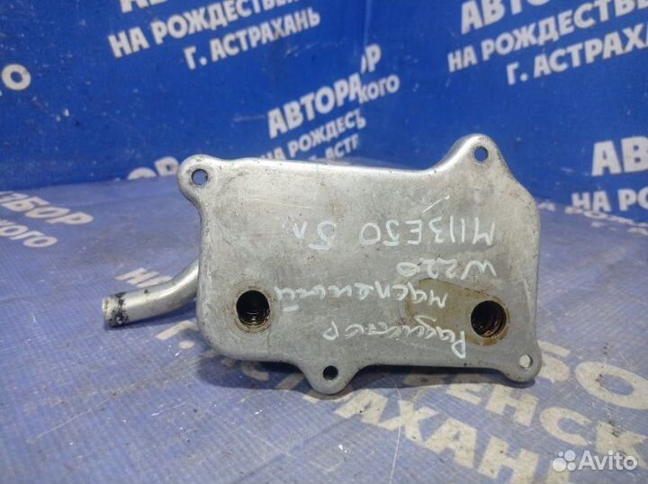 Радиатор масляный Mercedes-Benz W220 седан M113E50