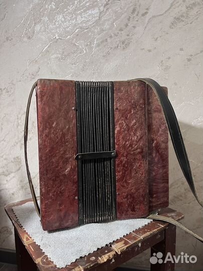 Гармонь Кубань