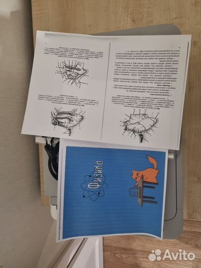 Принтер Canon Mg2440