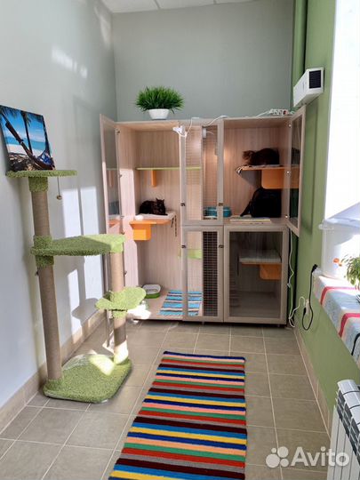 Зоогостиница, услуги грумера