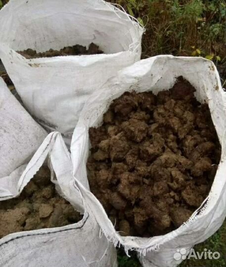 Конский навоз